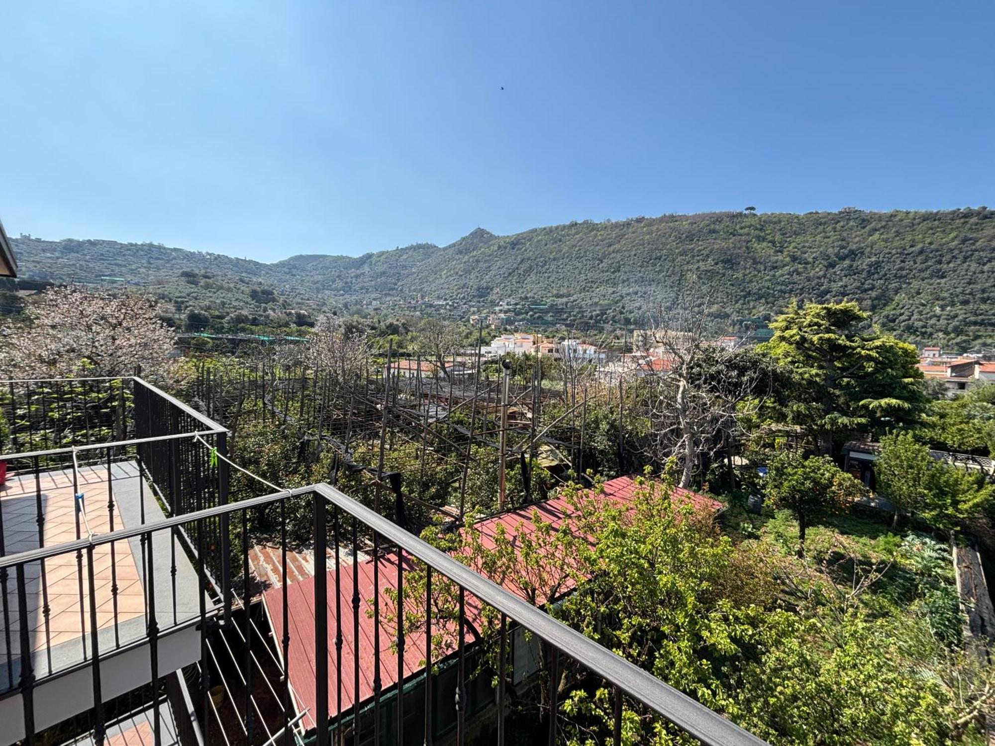 Intero Appartamento A Sant'Agnello , Le Ortensie Esterno foto